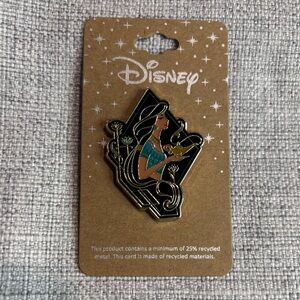 Disney Aladdin Jasmine Portrait Enamel Pin